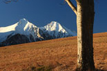 vysoké tatry